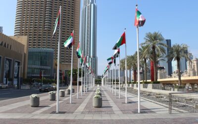 Overview of United Arab Emirates Legal System-UAE LAW