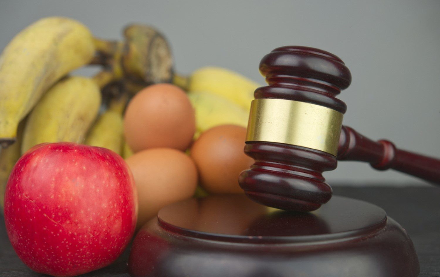 food license dubai