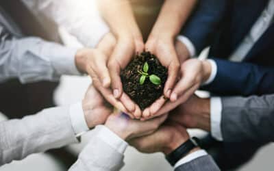 Exploring Corporate Accountability in the UAE: Insights from a Recent Court Ruling