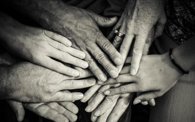 Exploring Federal Decree Law No. (23) of 2024 on Social Support and Empowerment: A New Milestone for UAE Social Welfare