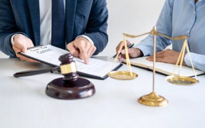 Dubai Court of Cassation on Company Ownership, Contract Validity, and Procedural Justice